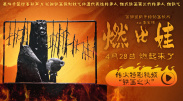 欧美午夜精彩