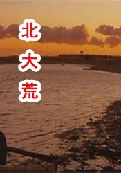 在线超碰av